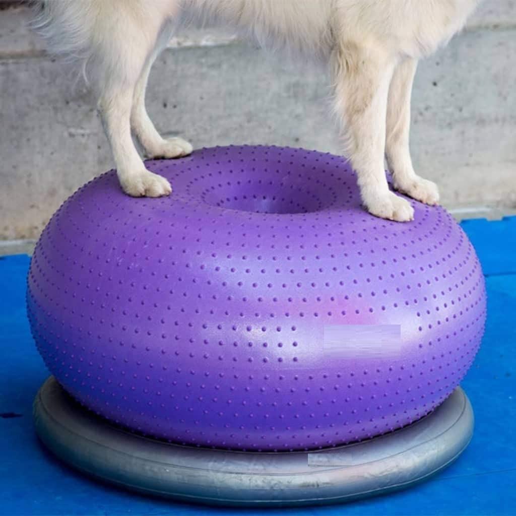 Balance Cushion Disc - Balance Disc Cushion Dog Balance Training