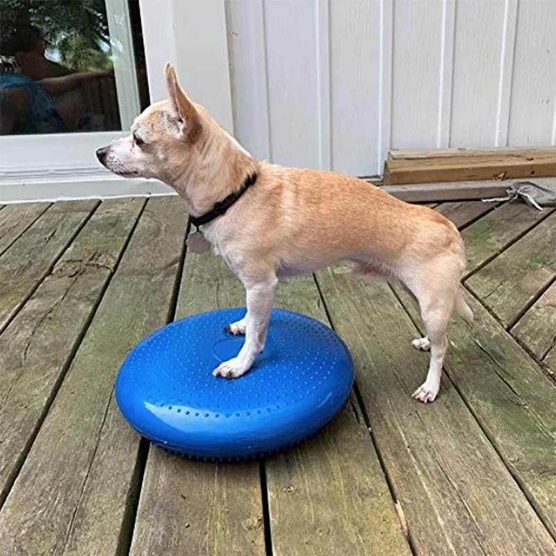 Dog Balance Disc Cushion Rehab - đánh giá và giá Balance Cushion Disc