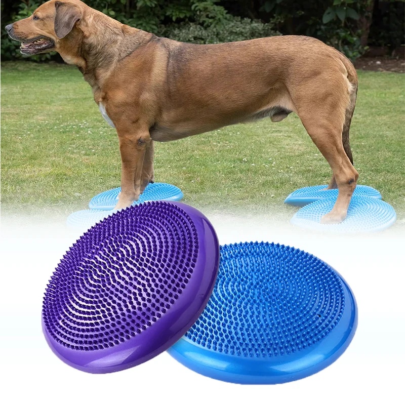 Dog Balance Disc Cushion Rehab - đánh giá và giá Balance Cushion Disc