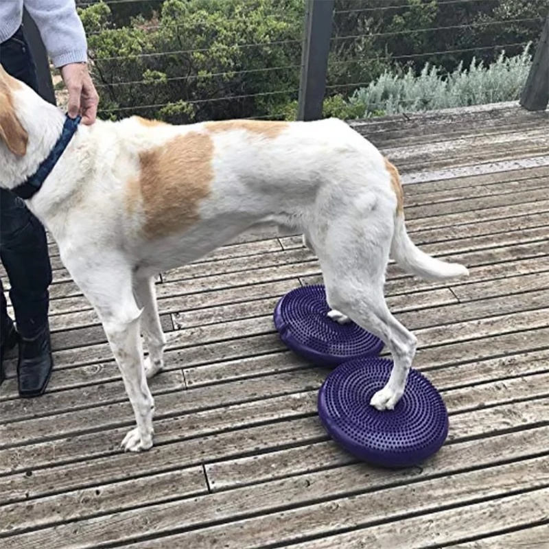 Dog Balance Disc Cushion Rehab - đánh giá và giá Balance Cushion Disc