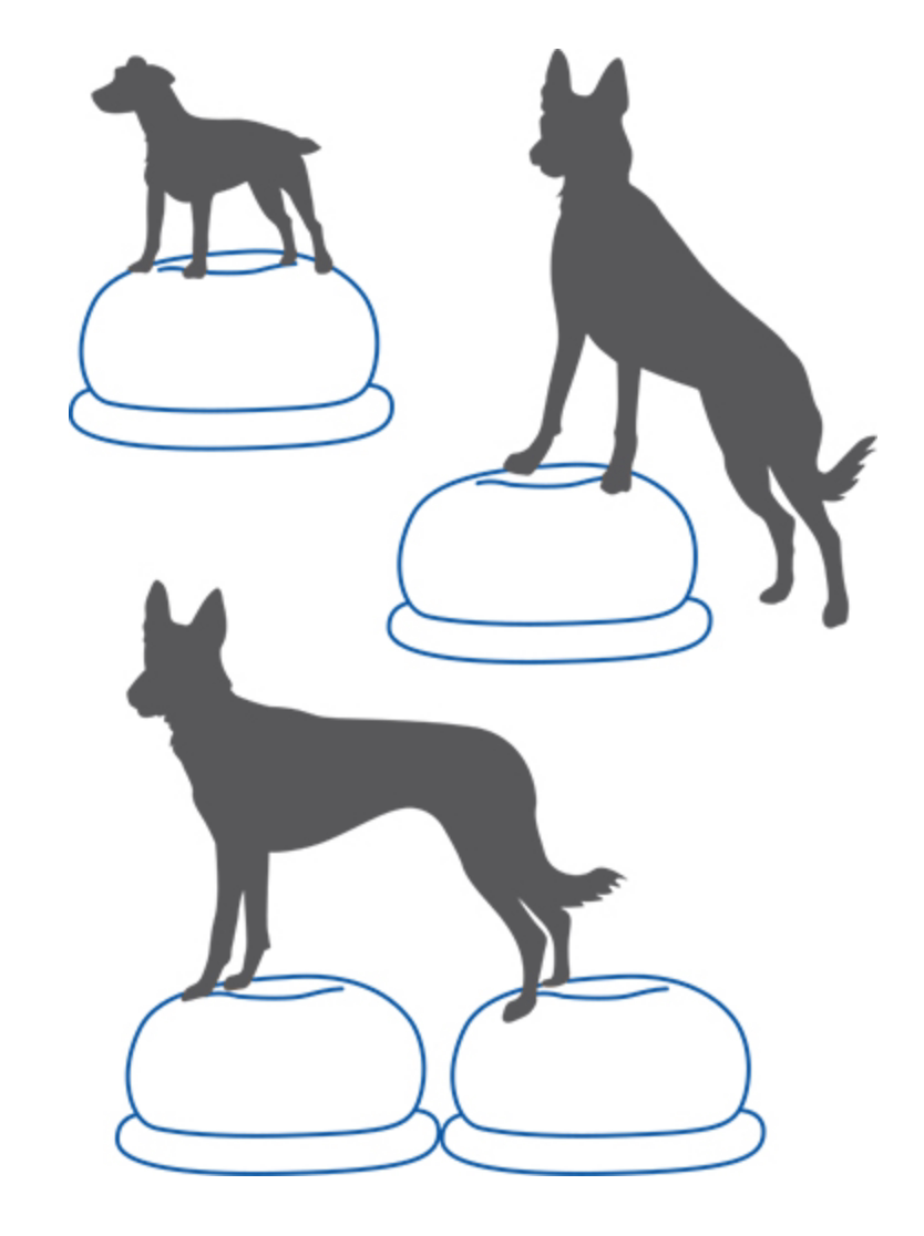 Balance Disc Cushion Dog Balan - đánh giá và giá Balance Cushion Disc