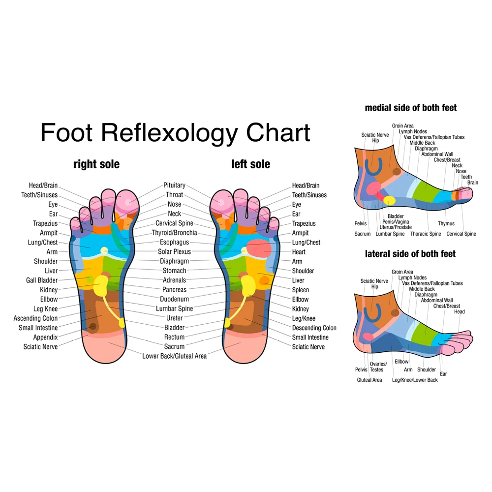 Wooden Foot Massage Roller Rel - đánh giá và giá Reflexology Foot Roller