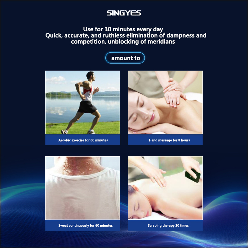 EMS Teraherter 2-in-1 Electrom - đánh giá và giá Health Wellness Activities