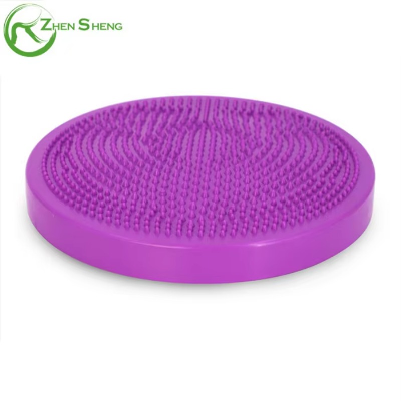 Zhensheng Wobble Cushion Seat  - đánh giá và giá Balance Cushion Disc
