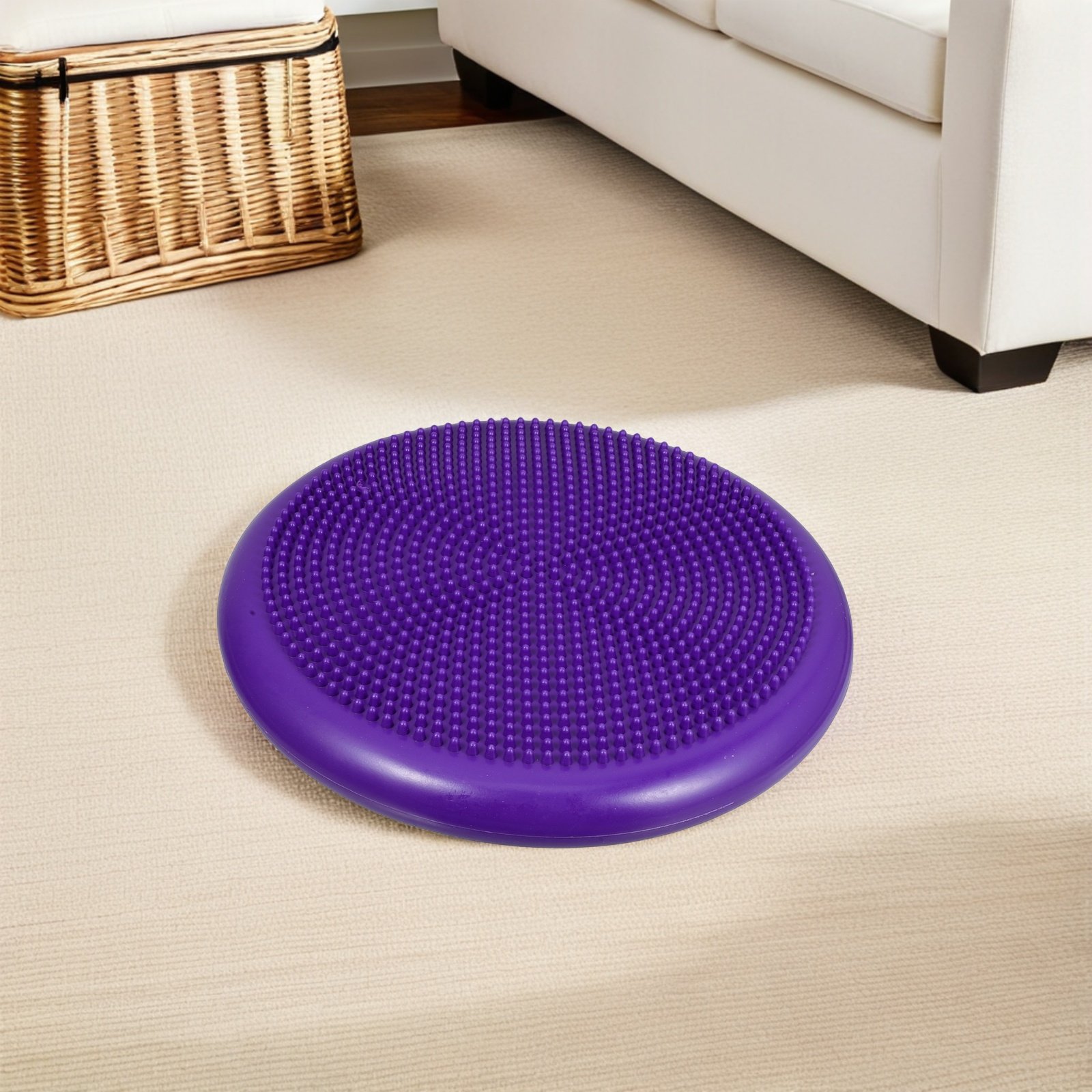 Extra Thick Inflated Stability - đánh giá và giá Balance Cushion Disc